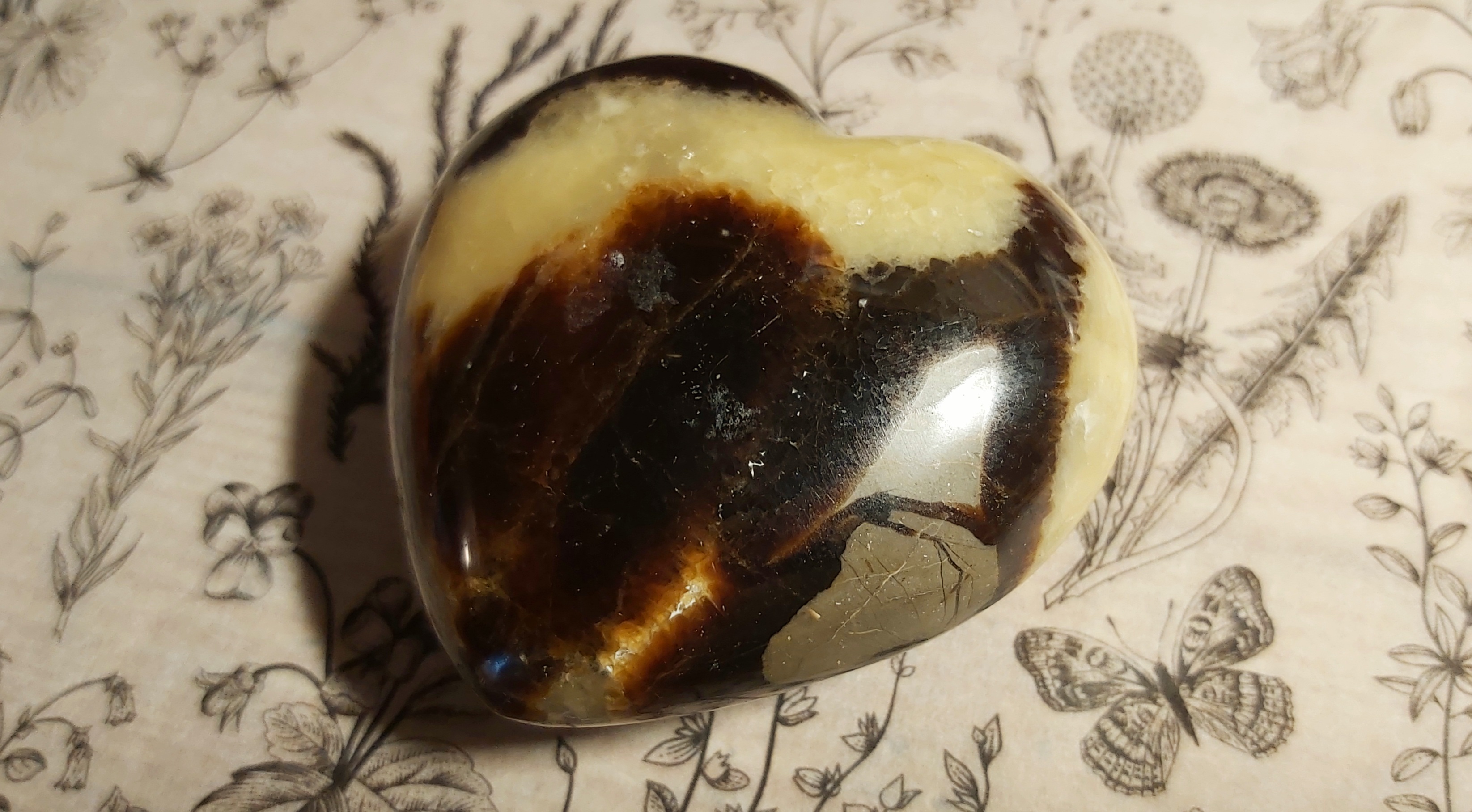 Septaria de Madagascar en forme de cœur