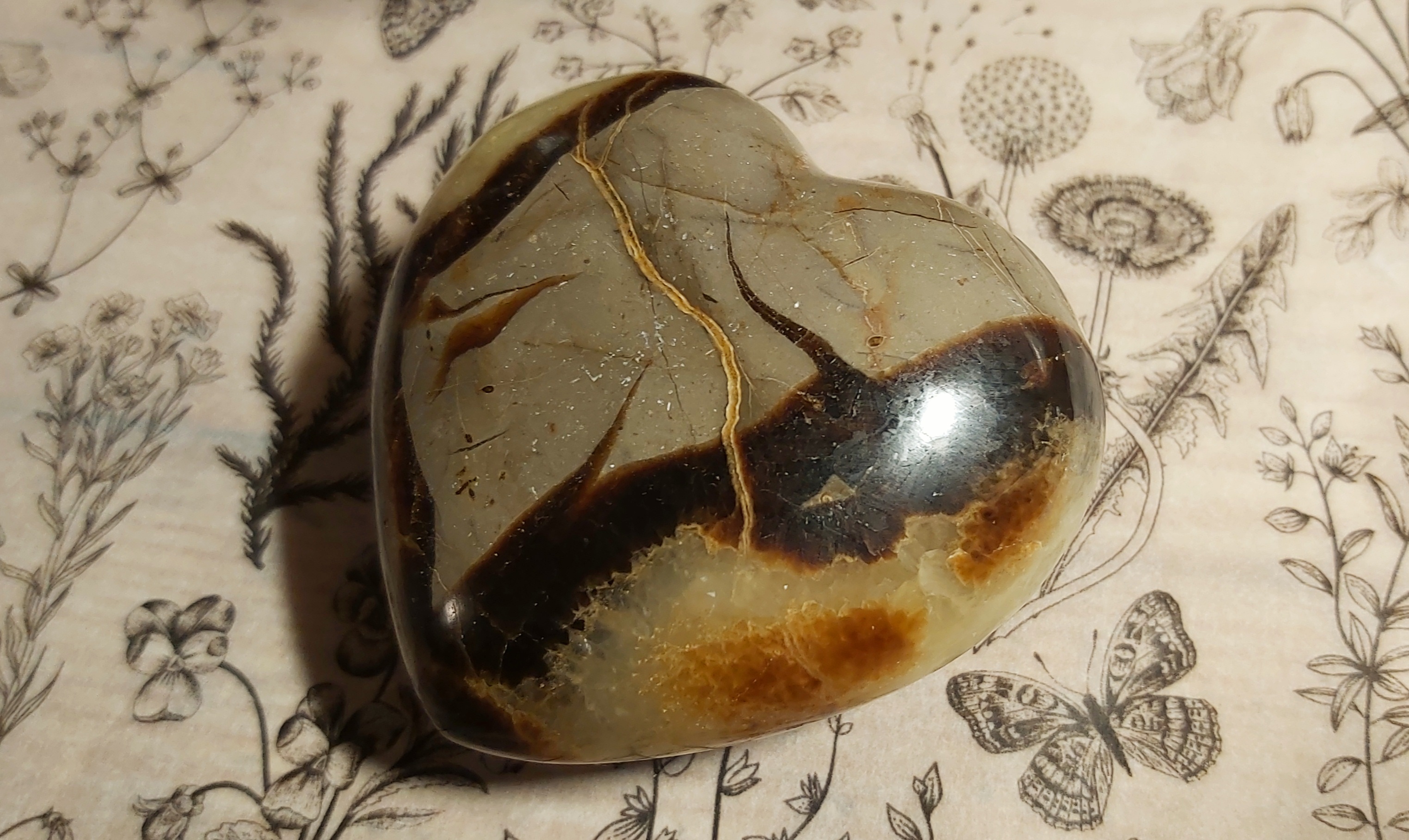 Septaria de Madagascar en forme de cœur