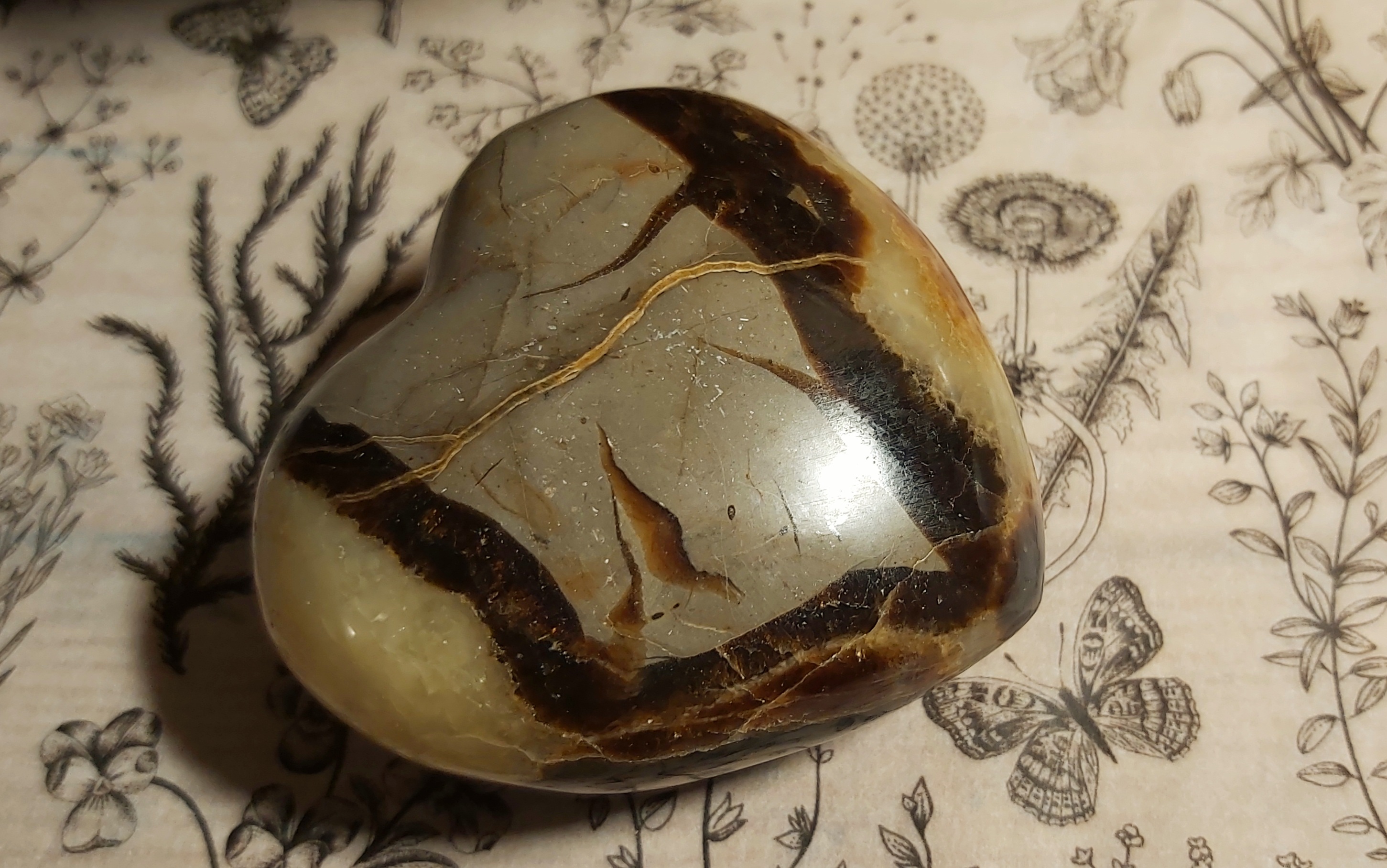 Septaria de Madagascar en forme de cœur