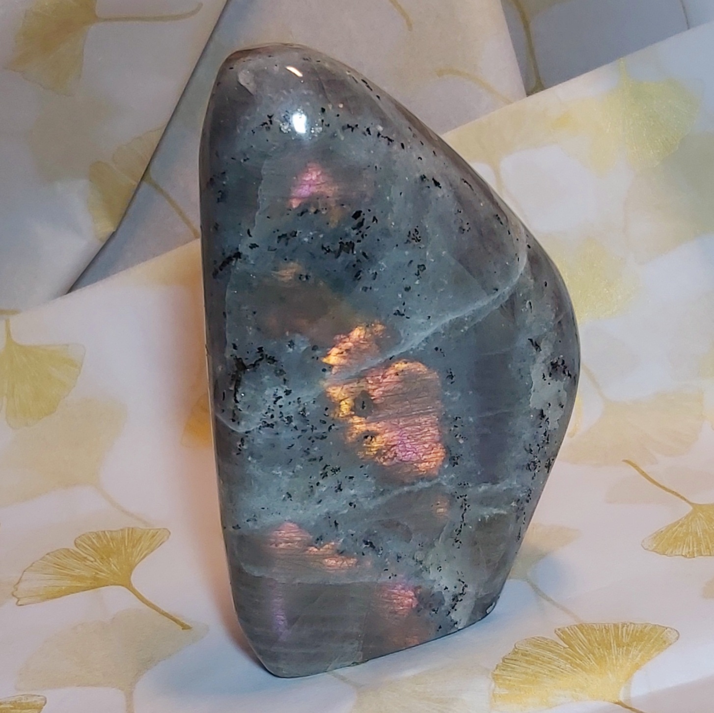 Pierre de Labradorite type spectrolite