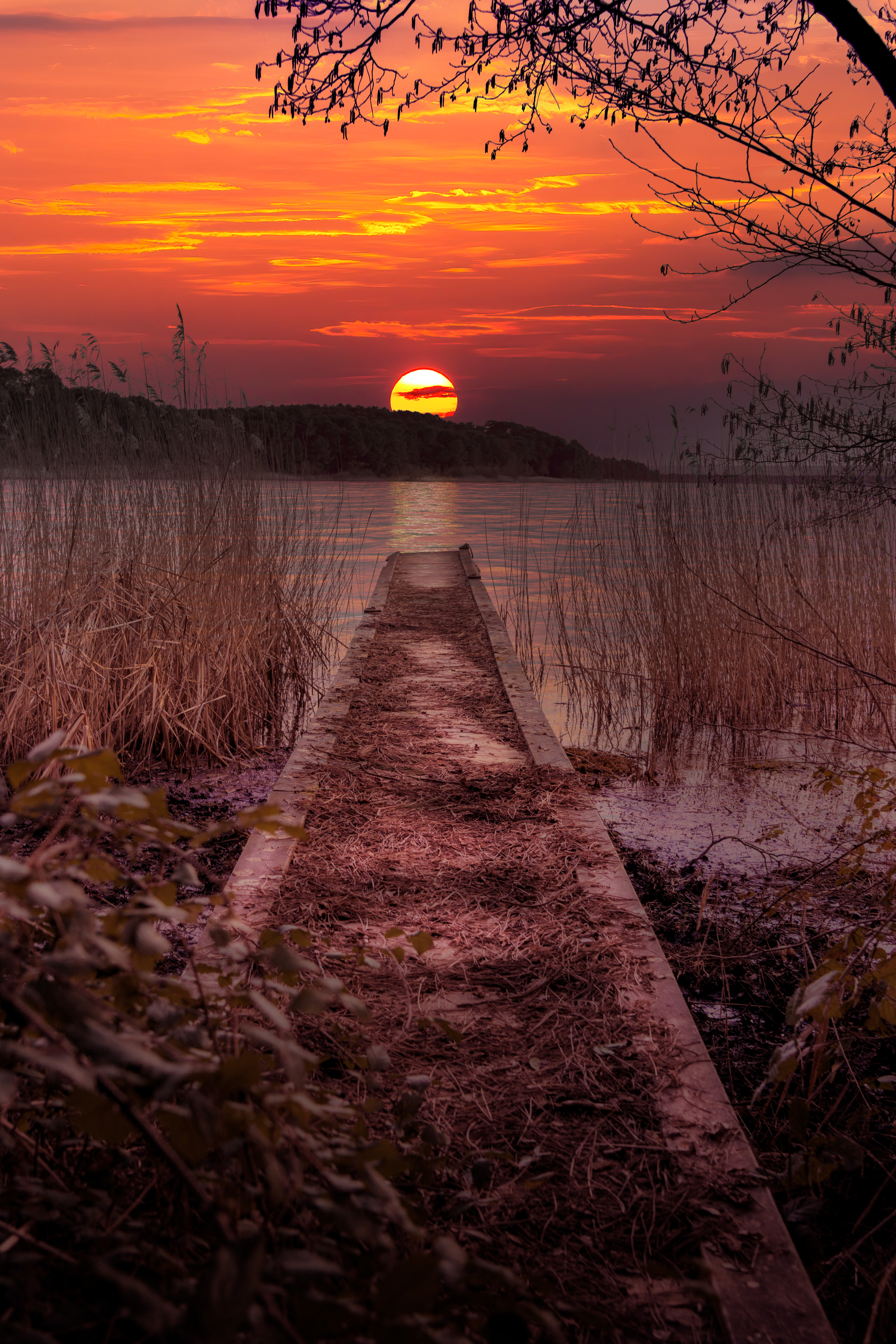Le ponton des souvenirs