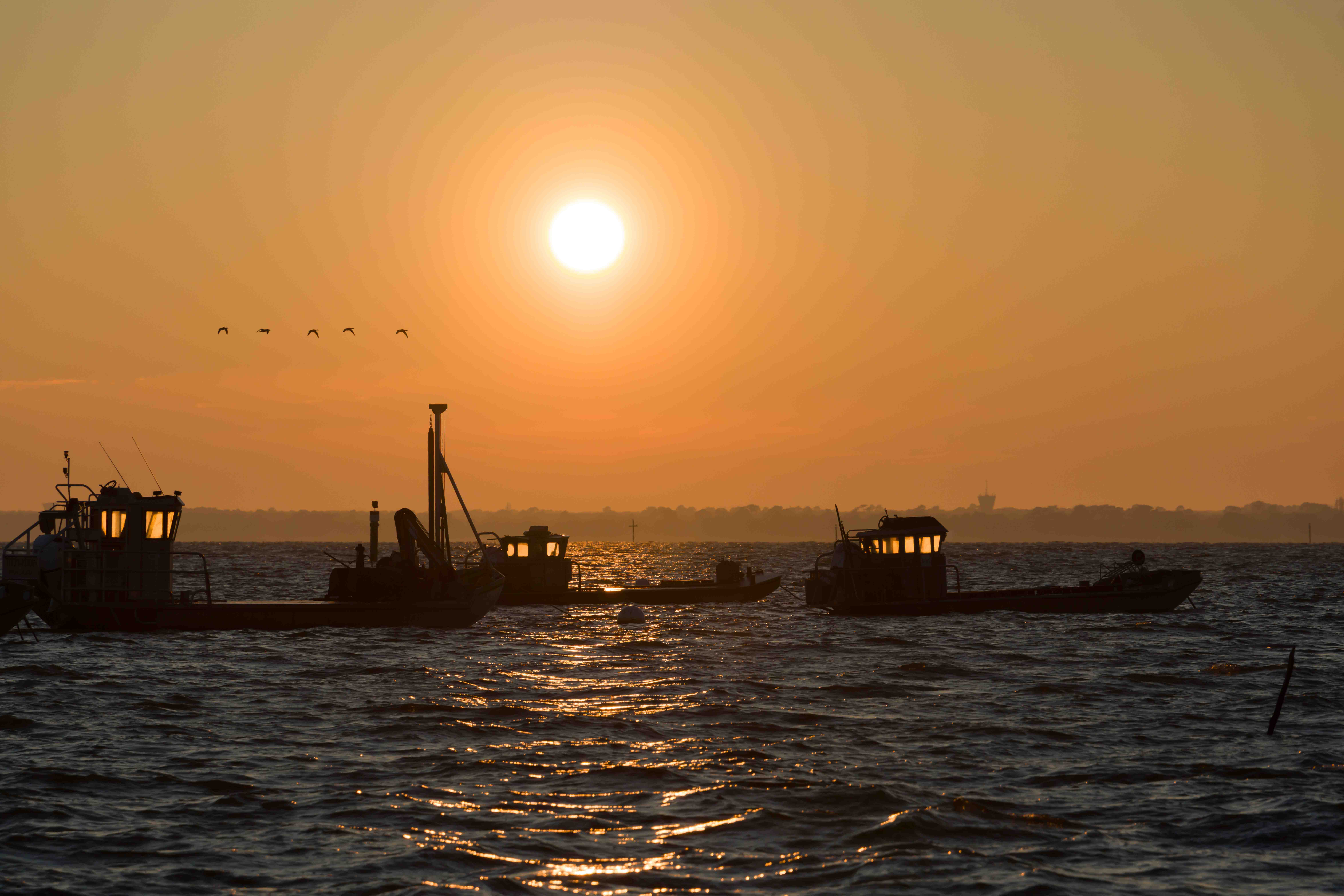 Les bateaux rêvent encore