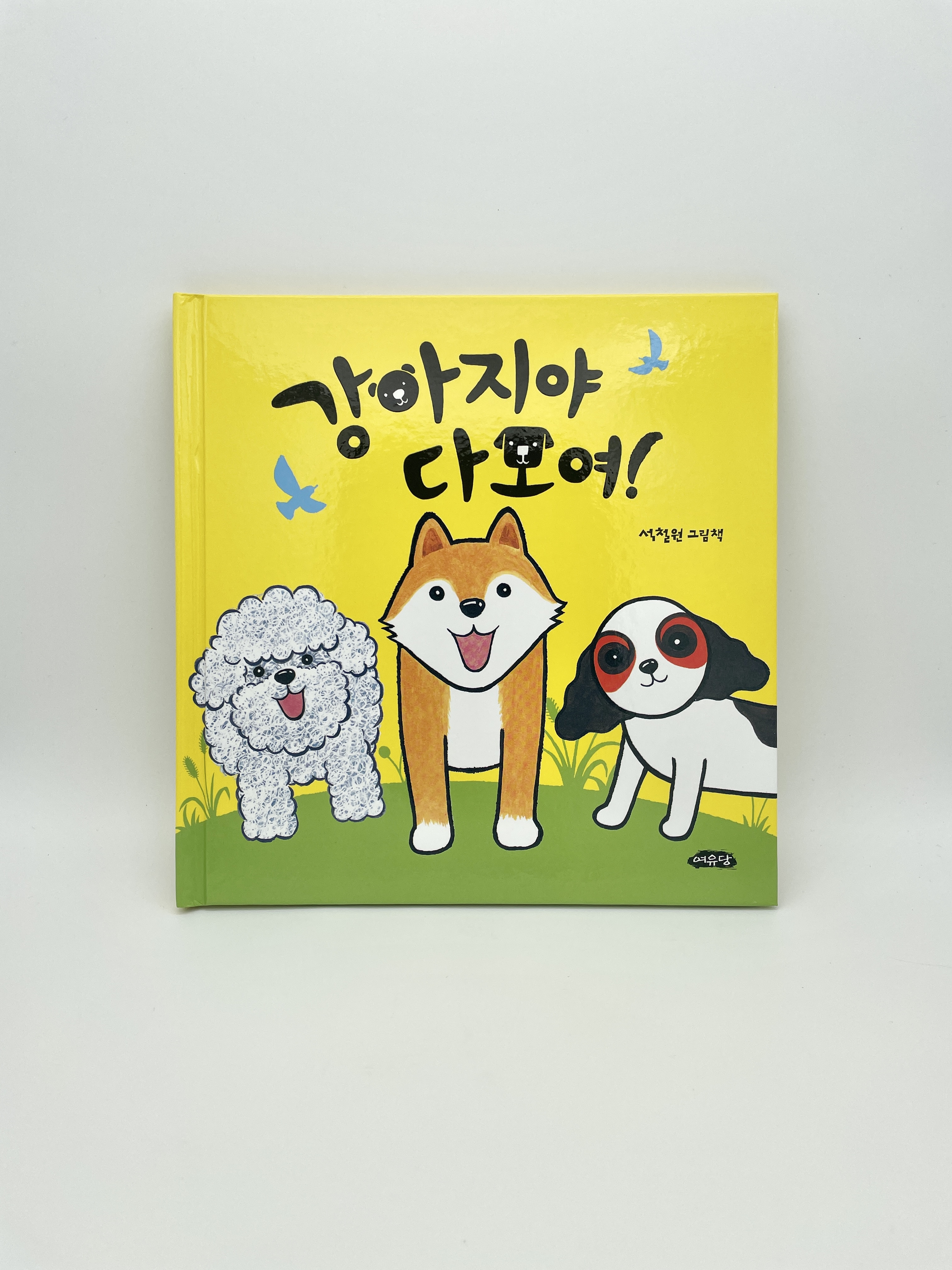 강아지야 다 모여!