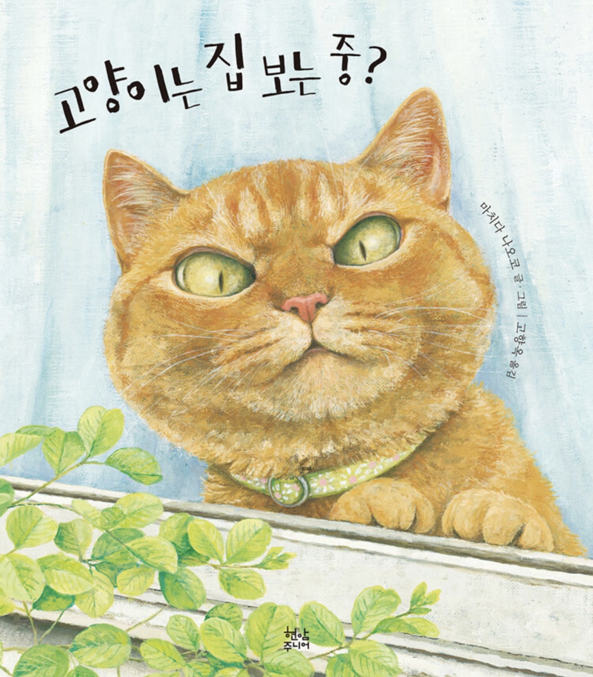 고양이는 집 보는 중?