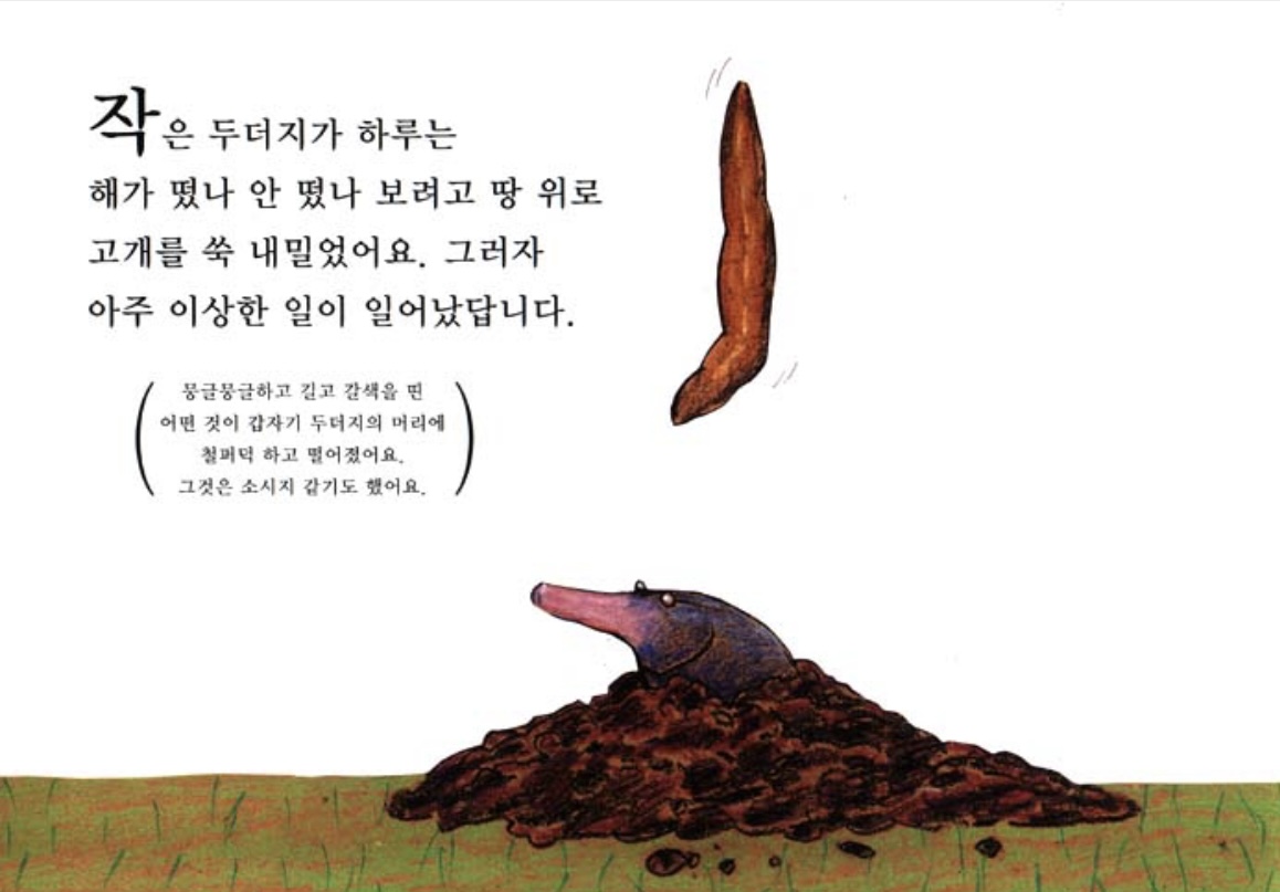 누가 내 머리에 똥 쌌어?