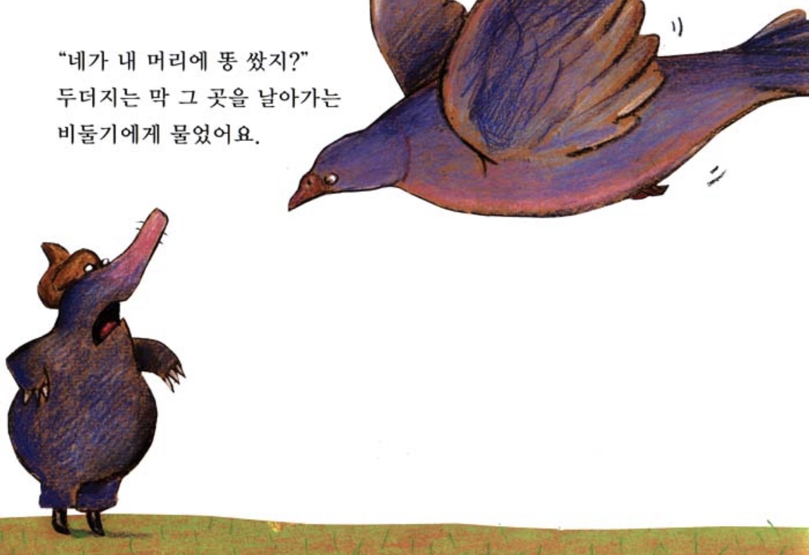 누가 내 머리에 똥 쌌어?