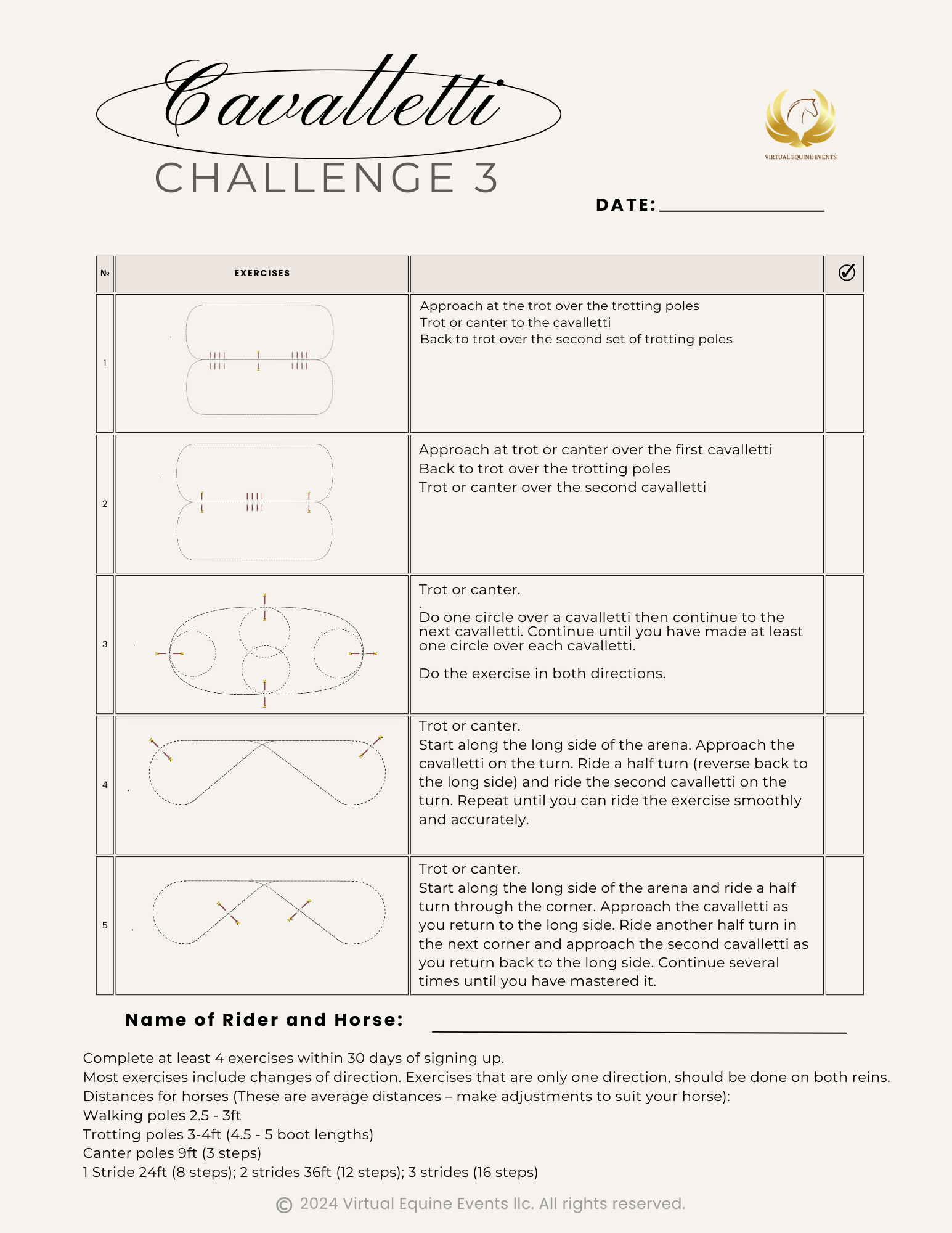 Class 100: Cavalletti Challenge 3