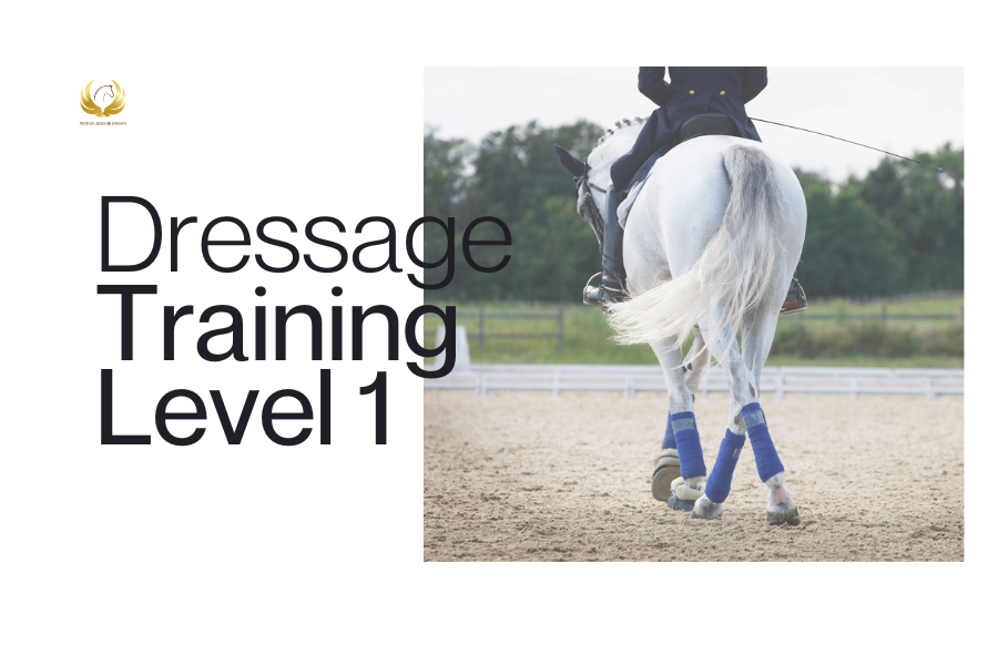Class 4A: Dressage Training Level 1 - Junior