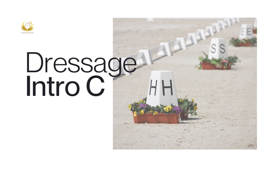 Class 3A: Dressage Intro C - Junior