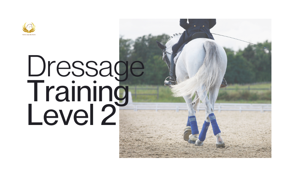 Class 5: Dressage Training Level 2 - Adult