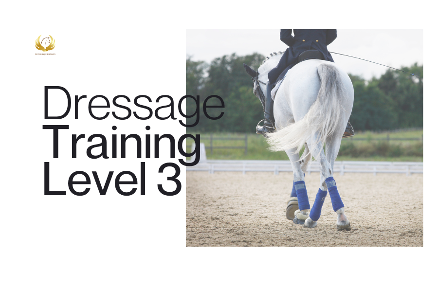 Class 6: Dressage Training Level 3 - Adult