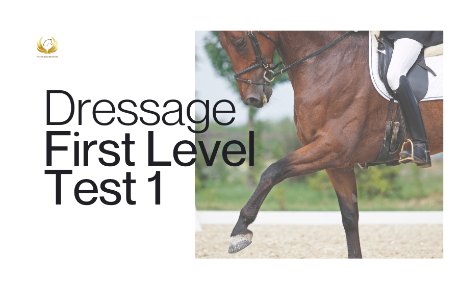 Class 7A: Dressage First Level Test 1 - Junior