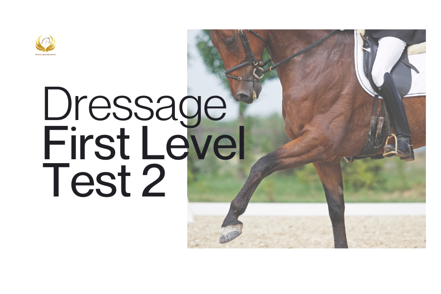 Class 8A: Dressage First Level Test 2 - Junior