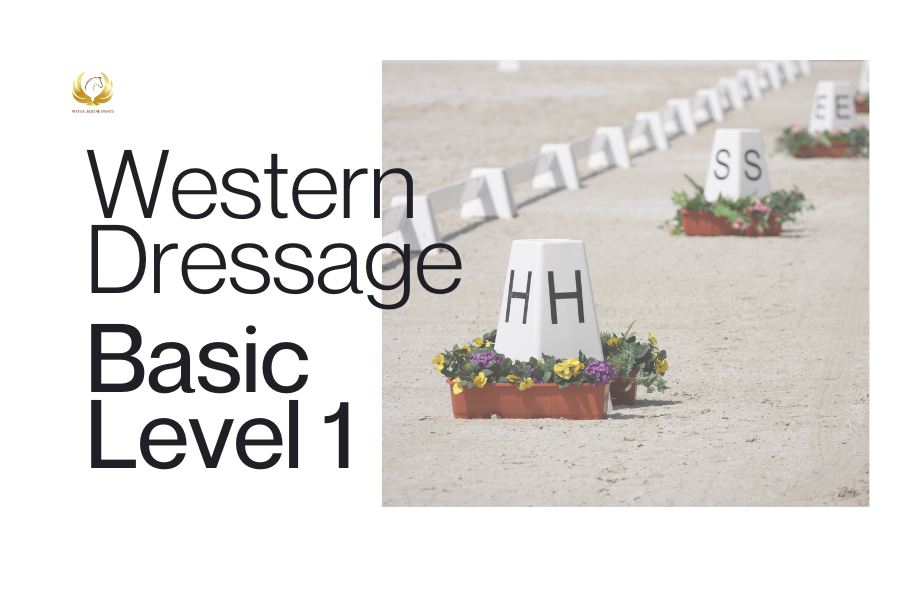 Class 64A: Western Dressage Basic Level 1 - Youth
