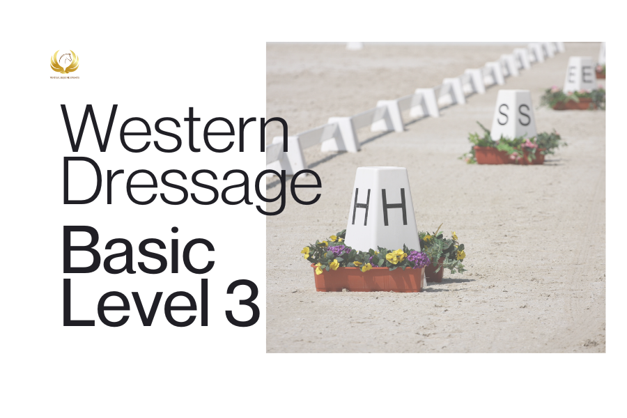 Class 66A: Western Dressage Basic Level 3 - Youth
