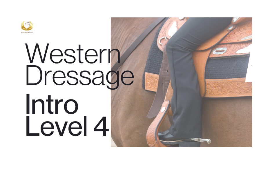 Class 63: Western Dressage Intro Level 4 - Adult