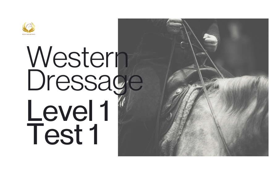 Class 68: Western Dressage Level 1 Test 1 - Adult