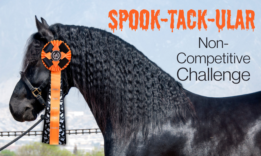 Class 94: Tweaking Transitions Challenge