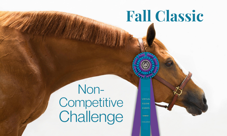 Class 101: Flatwork Challenge 1
