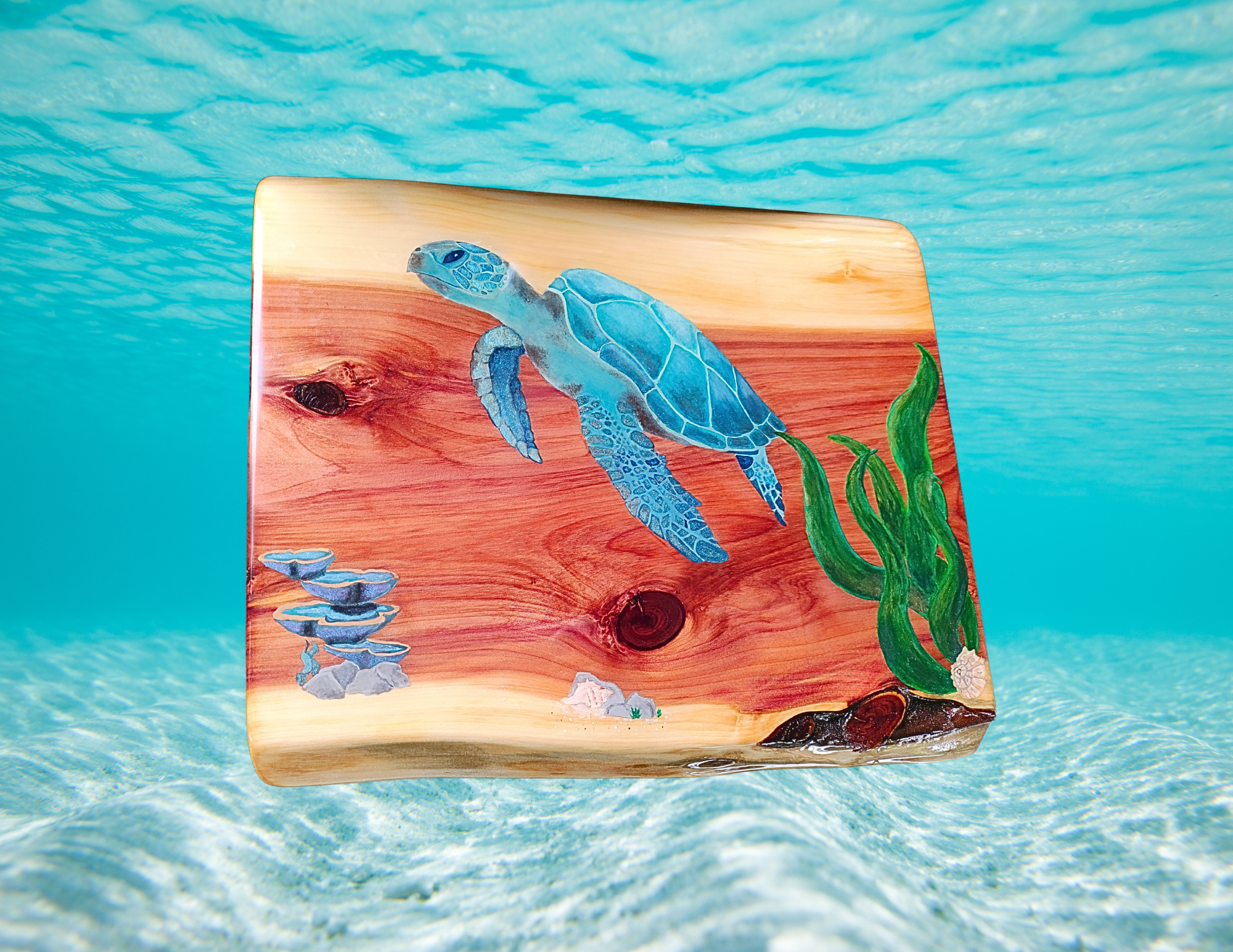 Under the Sea Turtle