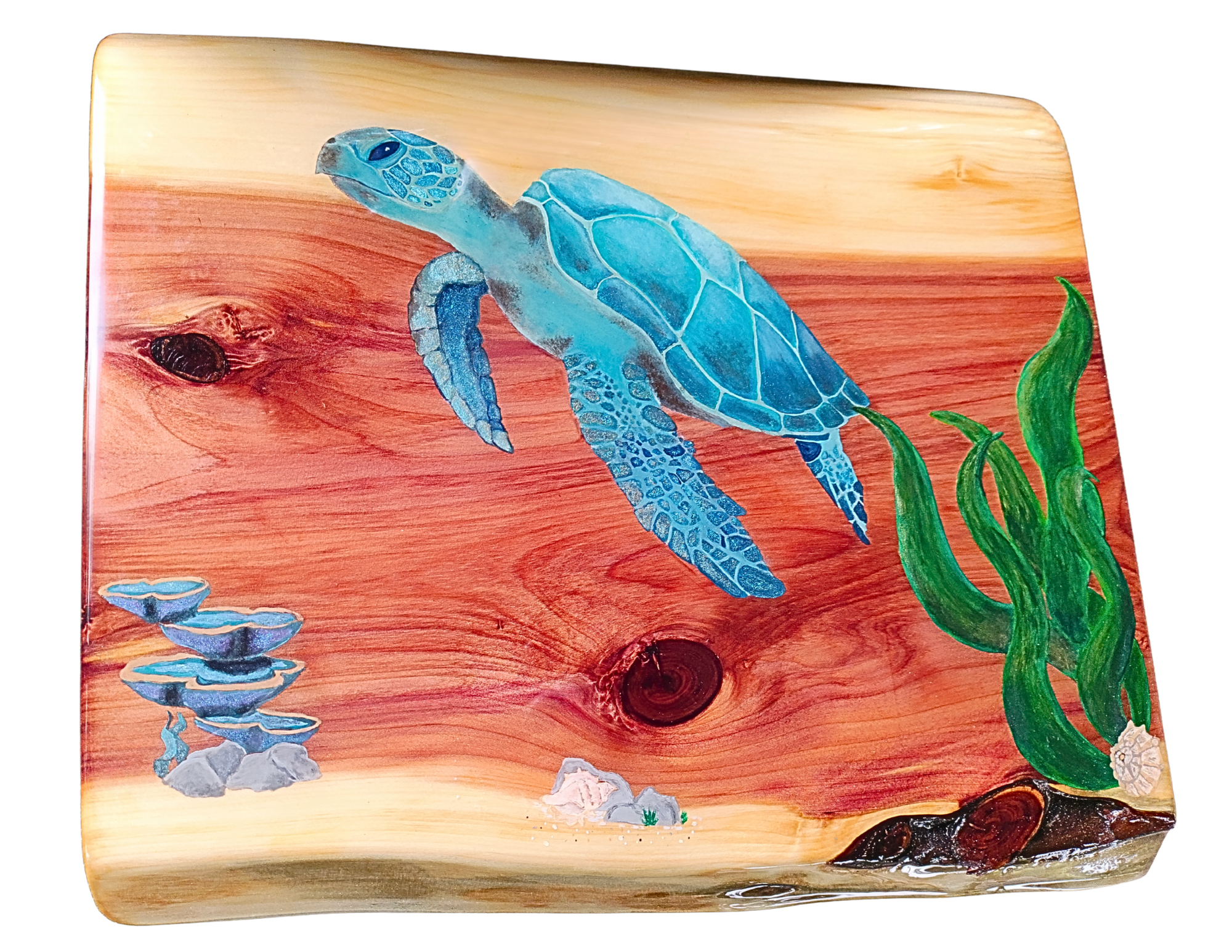 Under the Sea Turtle 