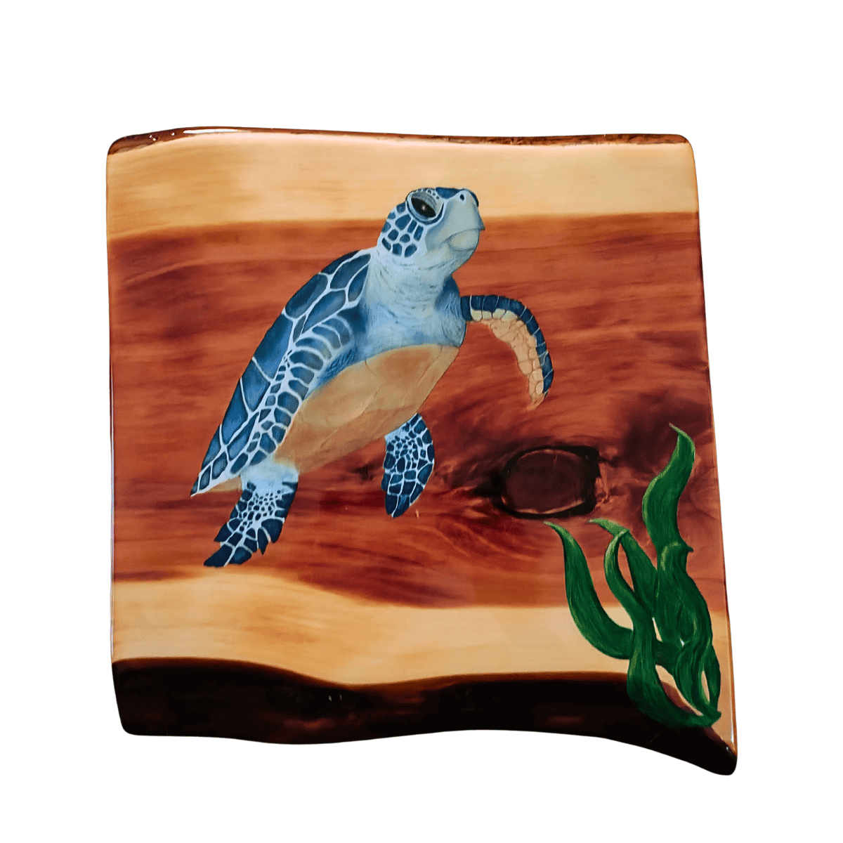 Sea Turtle 