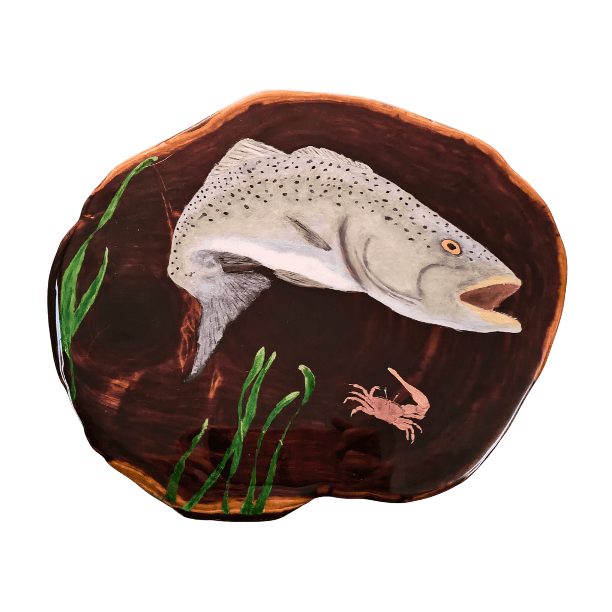 Speckled Sea Trout