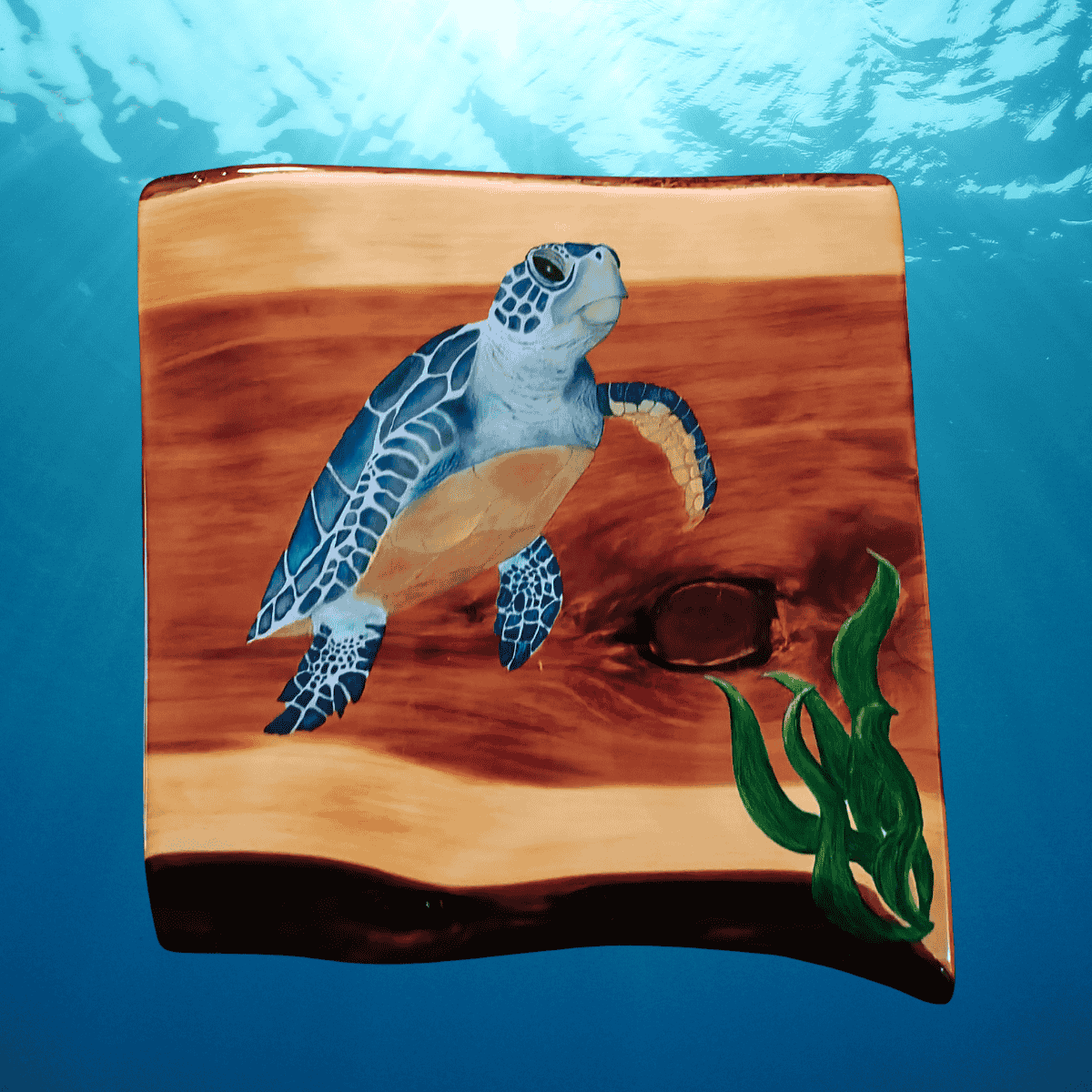 Sea Turtle 