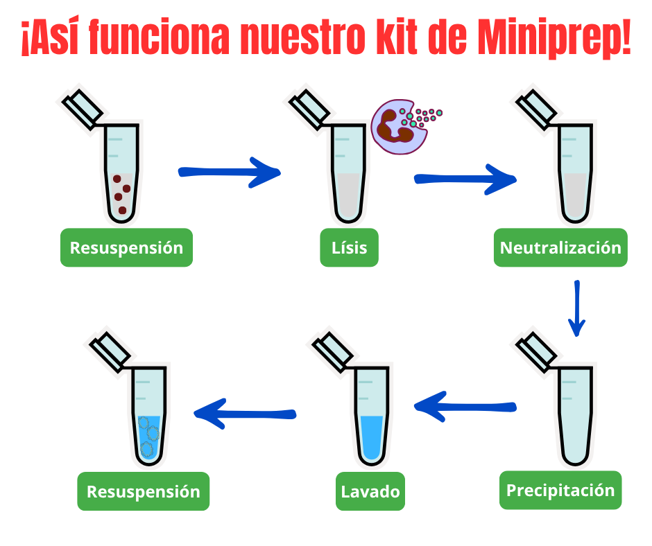 Kit de miniprep ecológico