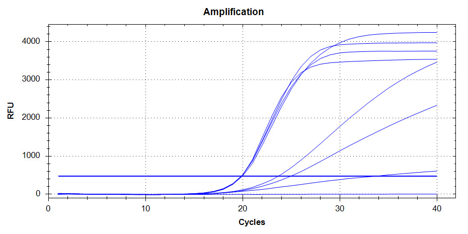 Kit de qPCR Master Mix 2x