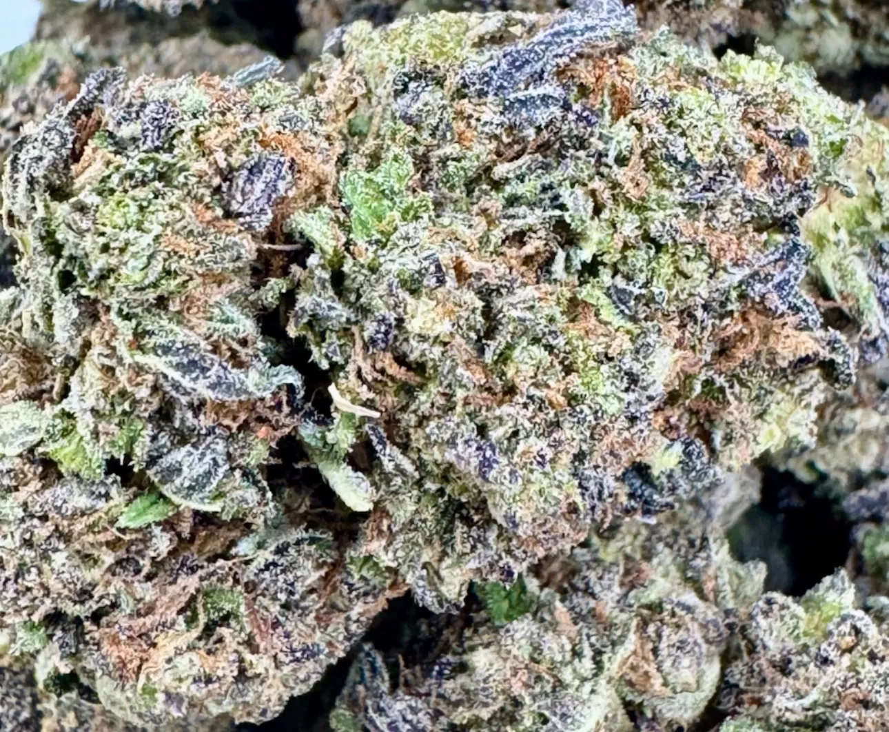 Head Hunter - Hybrid