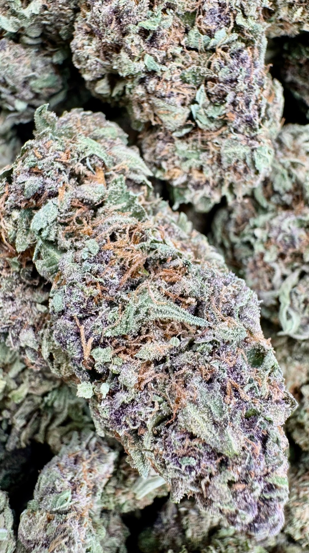Forbidden Fruit - Indica