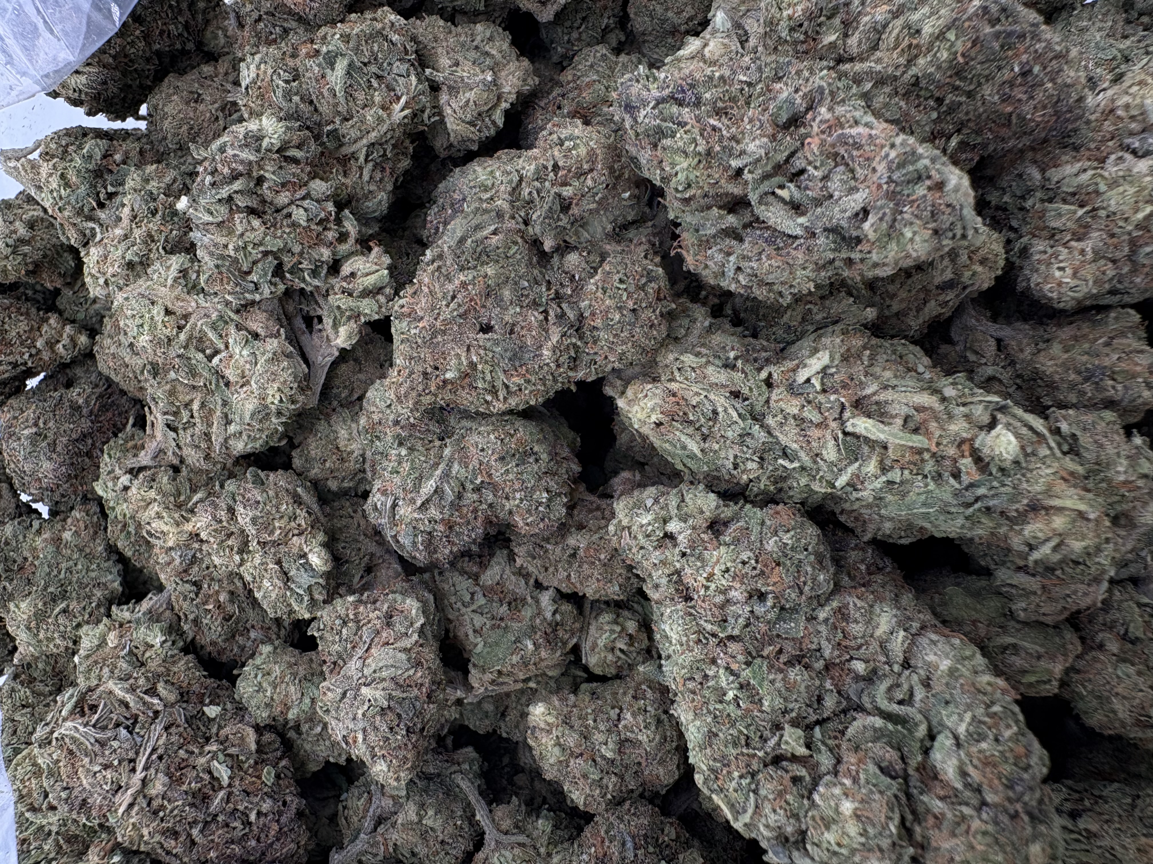 Ice Cream Cake - Indica