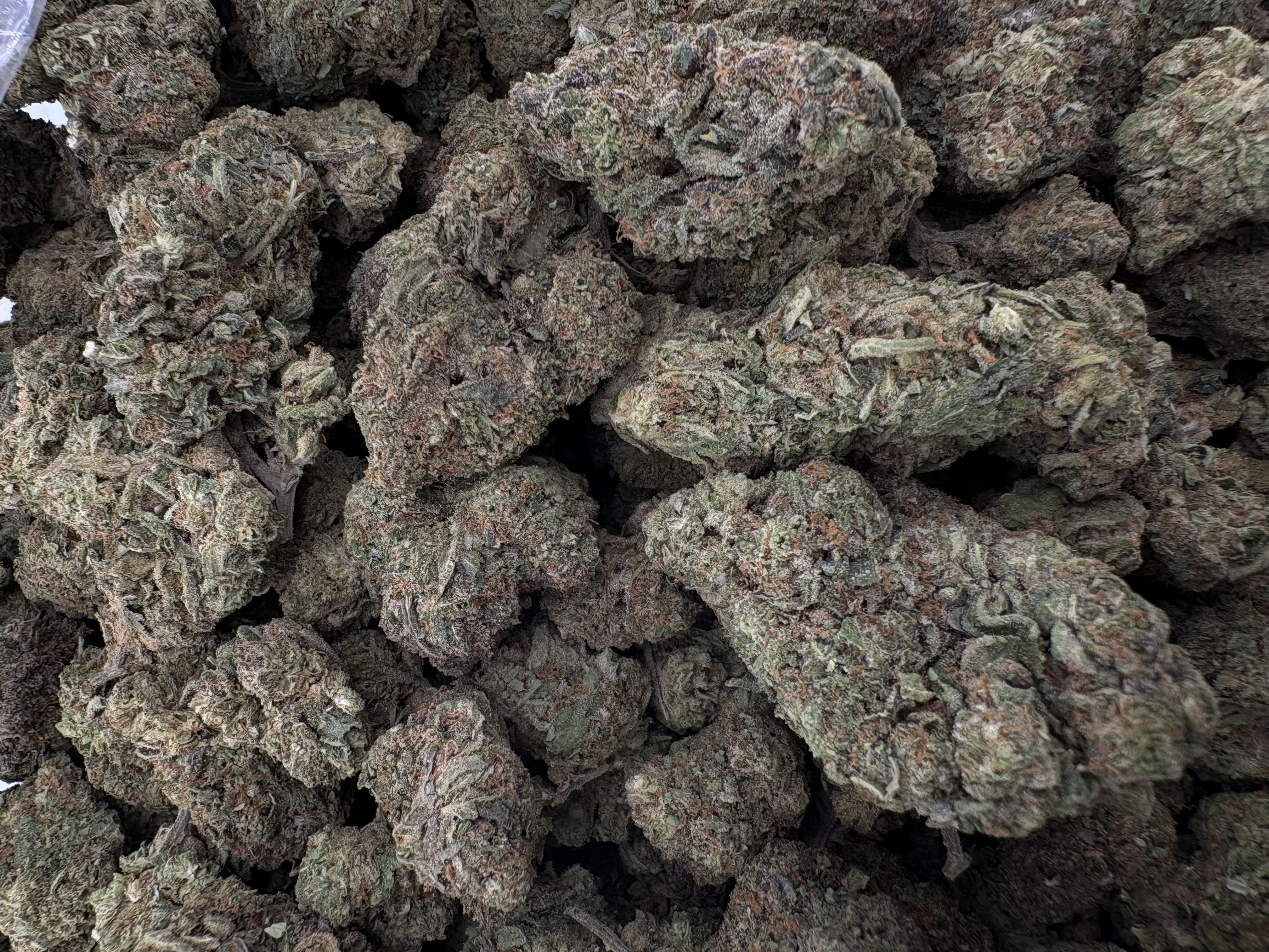 Ice Cream Cake - Indica