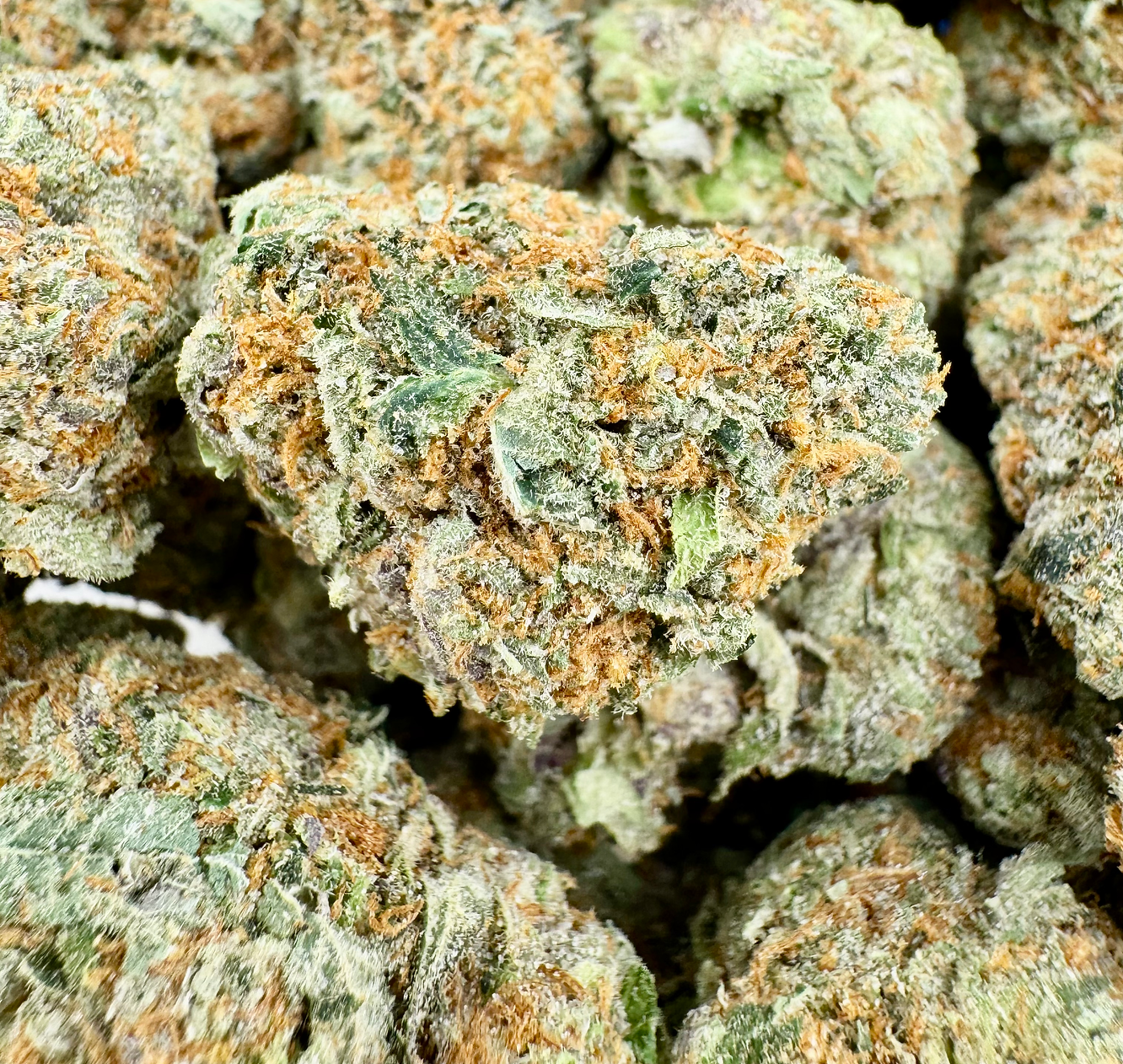 Strawberry Cooler - Hybrid - (Exotic Limited)