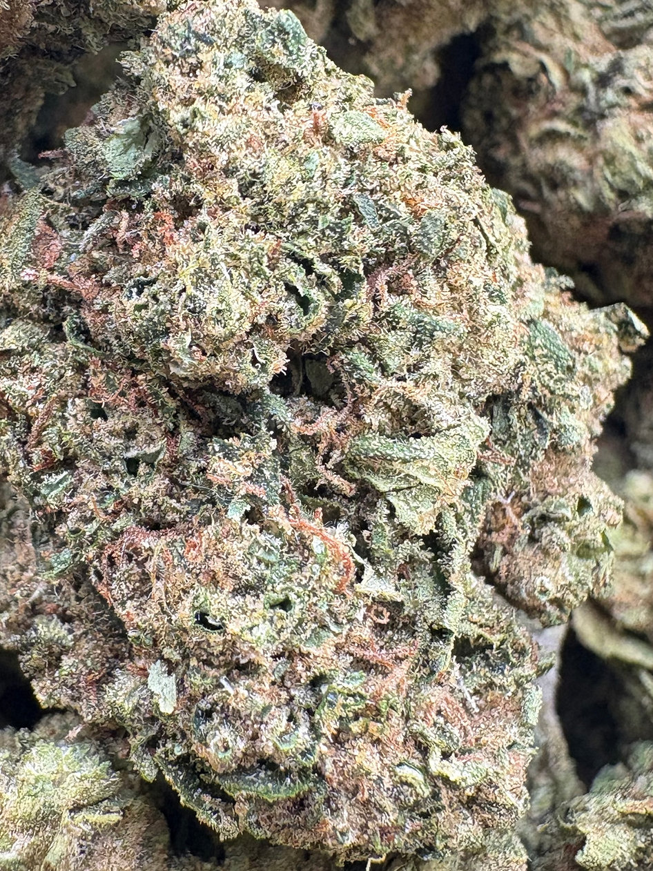 Lemon Cherry Gelato - Hybrid