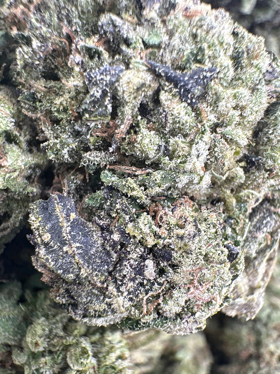 Modified Sherbert - Hybrid