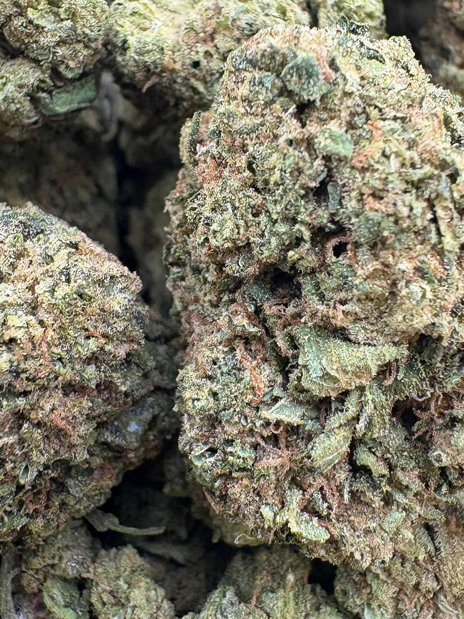 Lemon Cherry Gelato - Hybrid