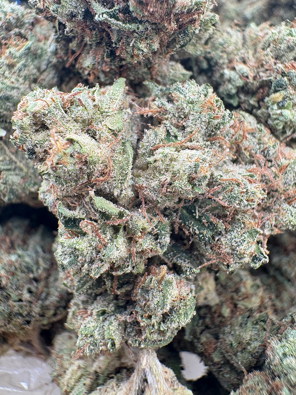 Emperor OG - Indica - (Exotic Limited)