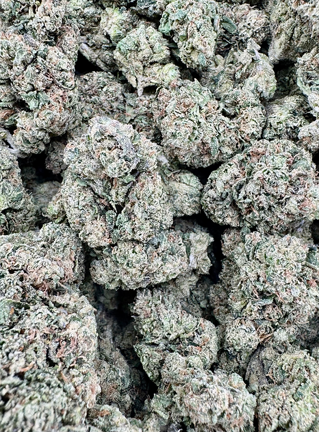 Black Cherry Gelato - Hybrid