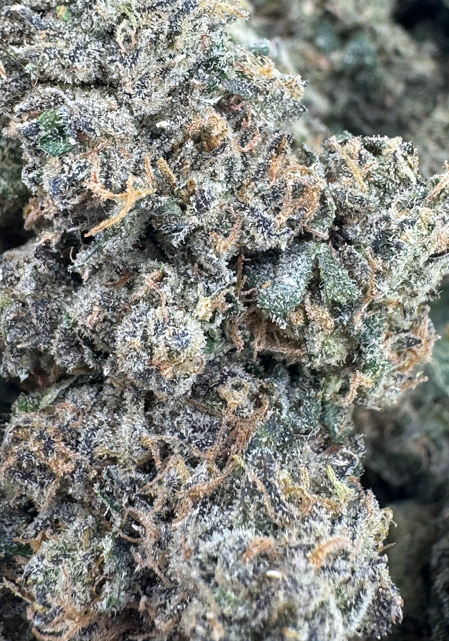 Blueberry Bubblegum Horchata - Hybrid - (Exotic Limited)