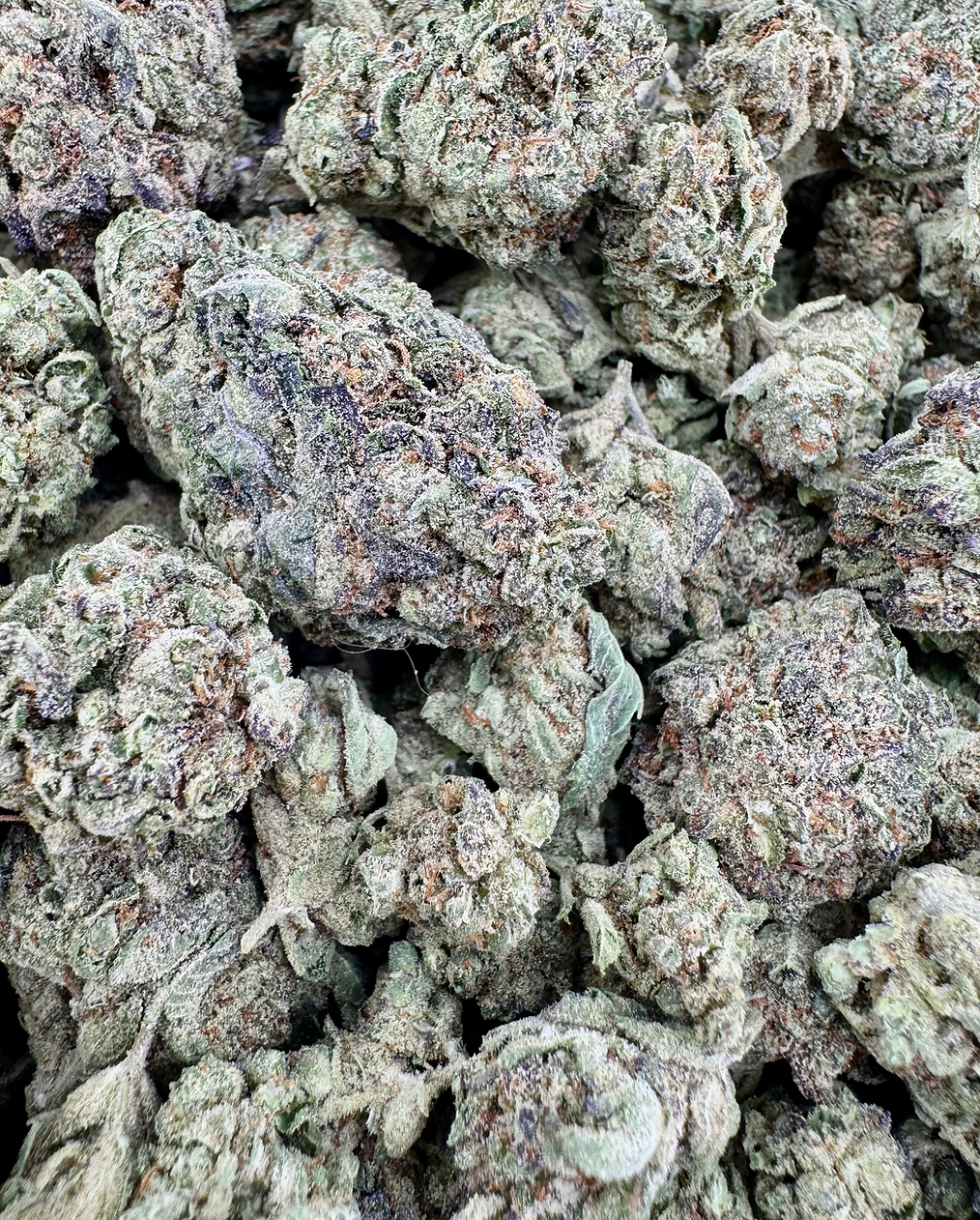 Cherry Pie - Indica