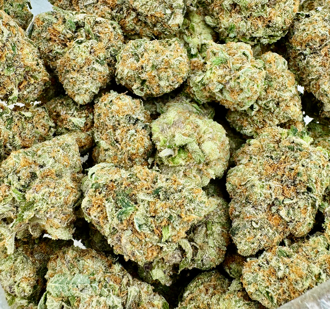 Strawberry Cooler - Hybrid - (Exotic Limited)