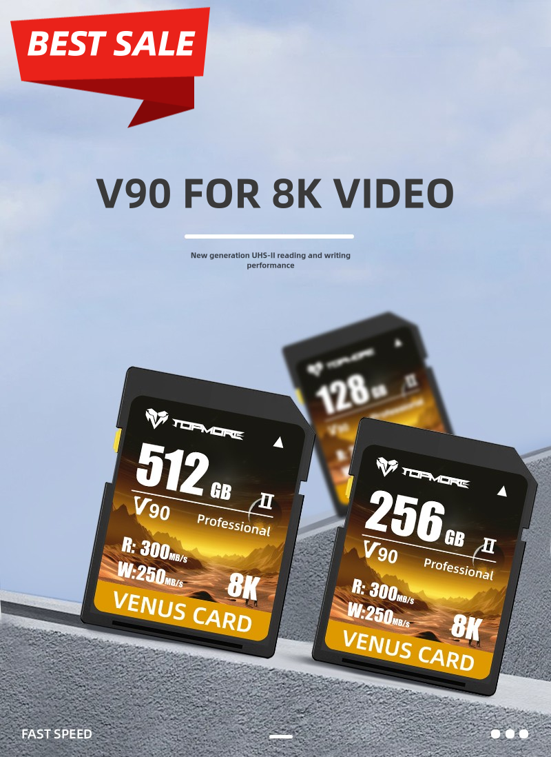  256GB Digital SDXC UHS-II V90 Memory Card (256 GB)