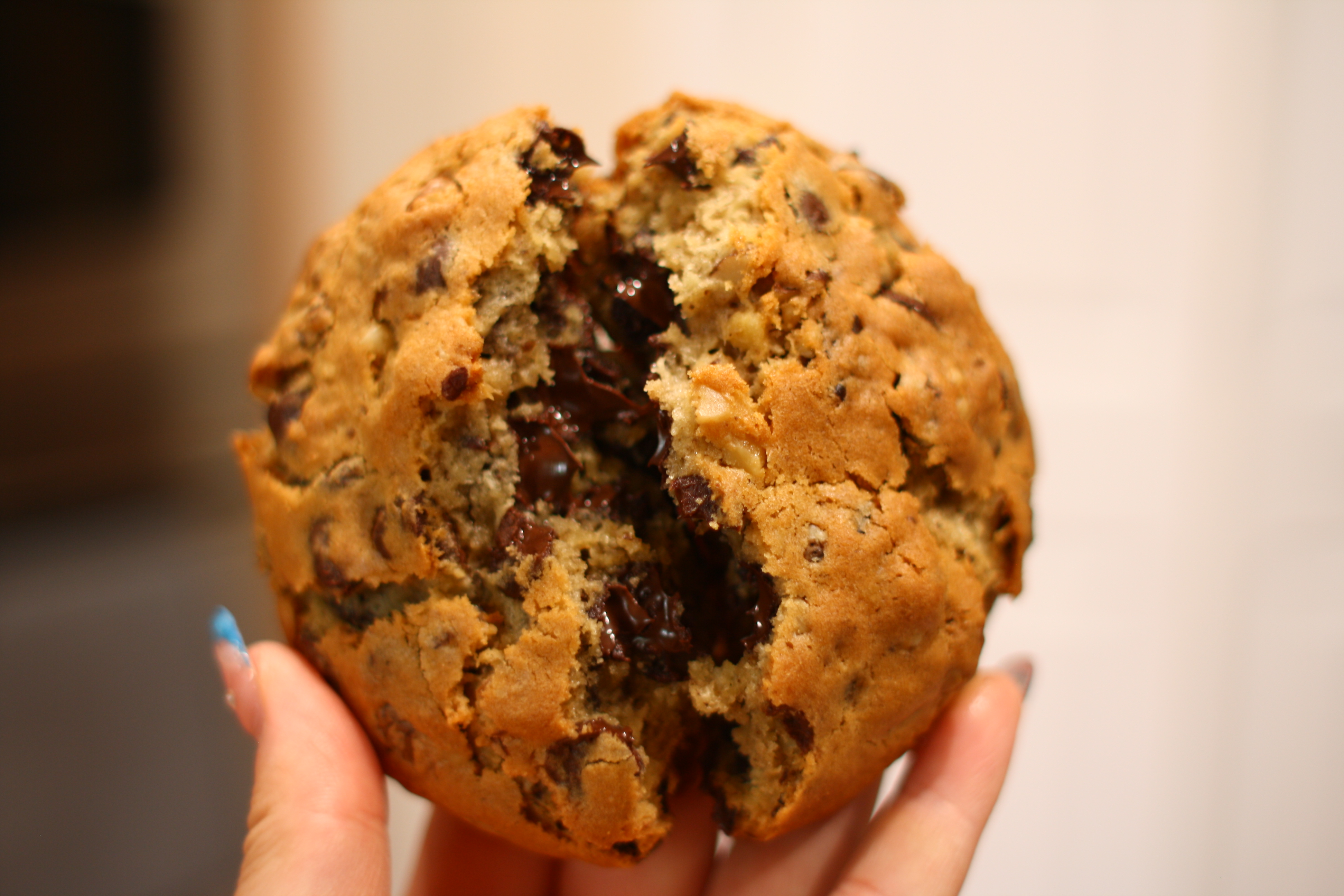 Mega Mooshie Chocolate Chip