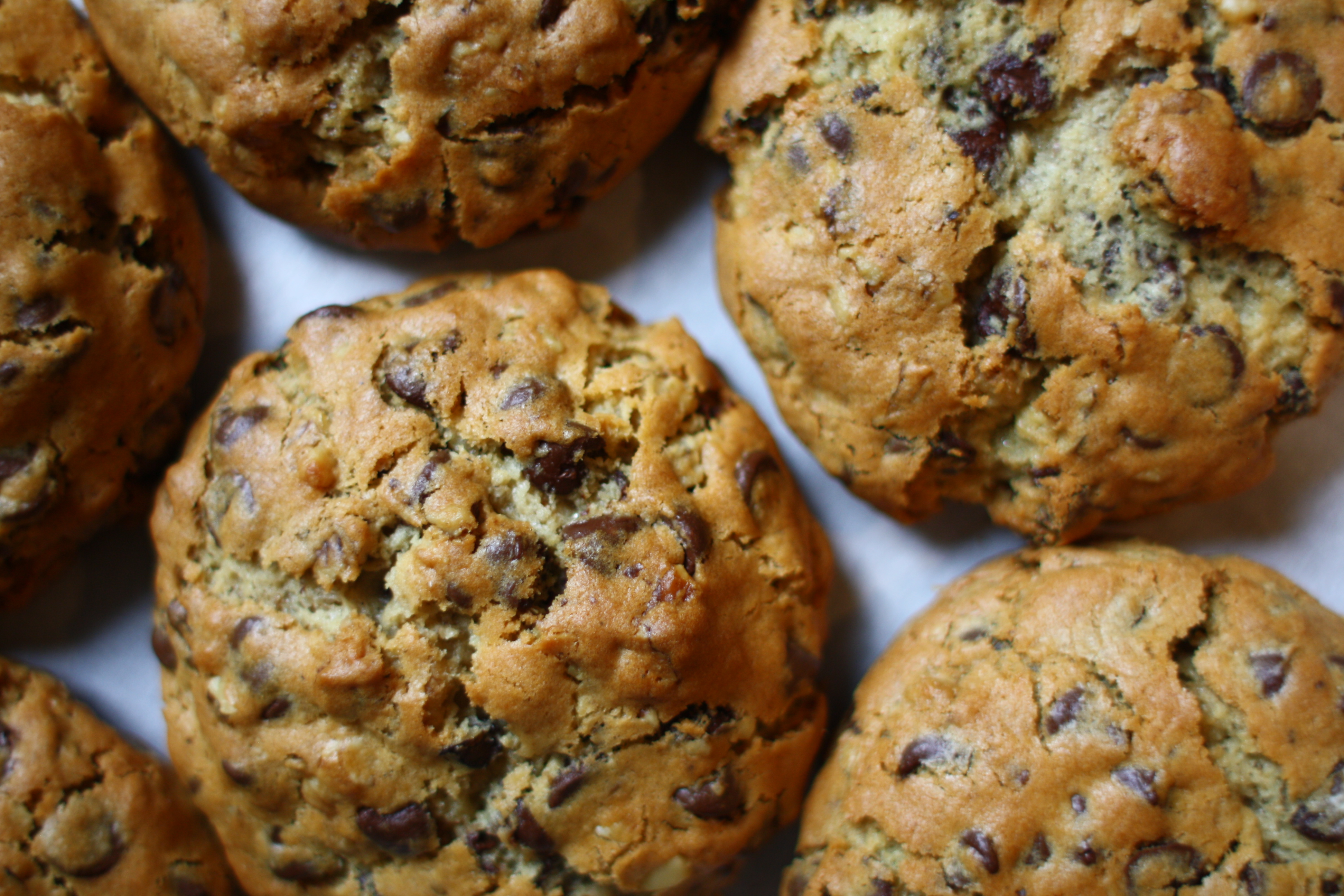 Mega Mooshie Chocolate Chip