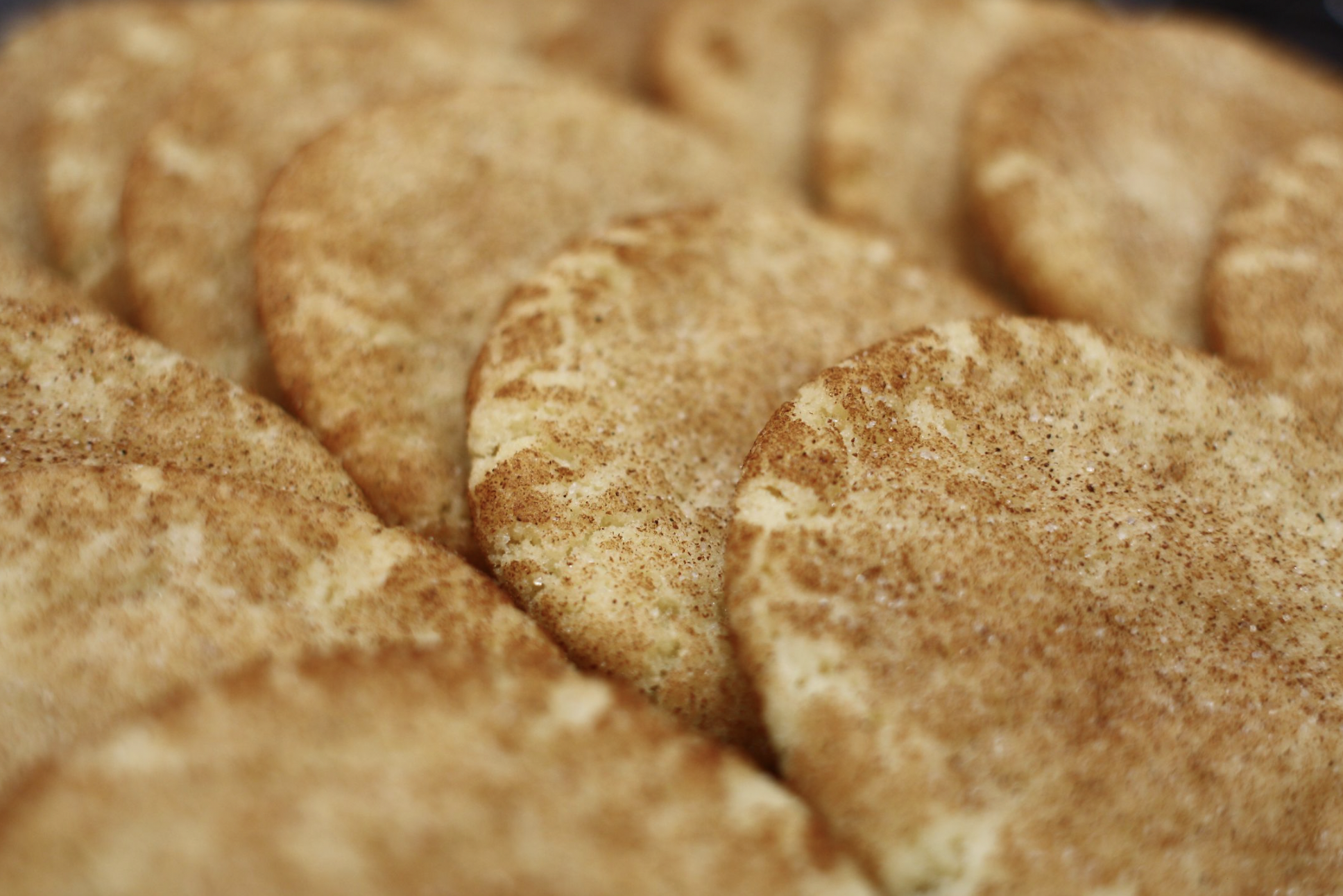 Snickerdoodle