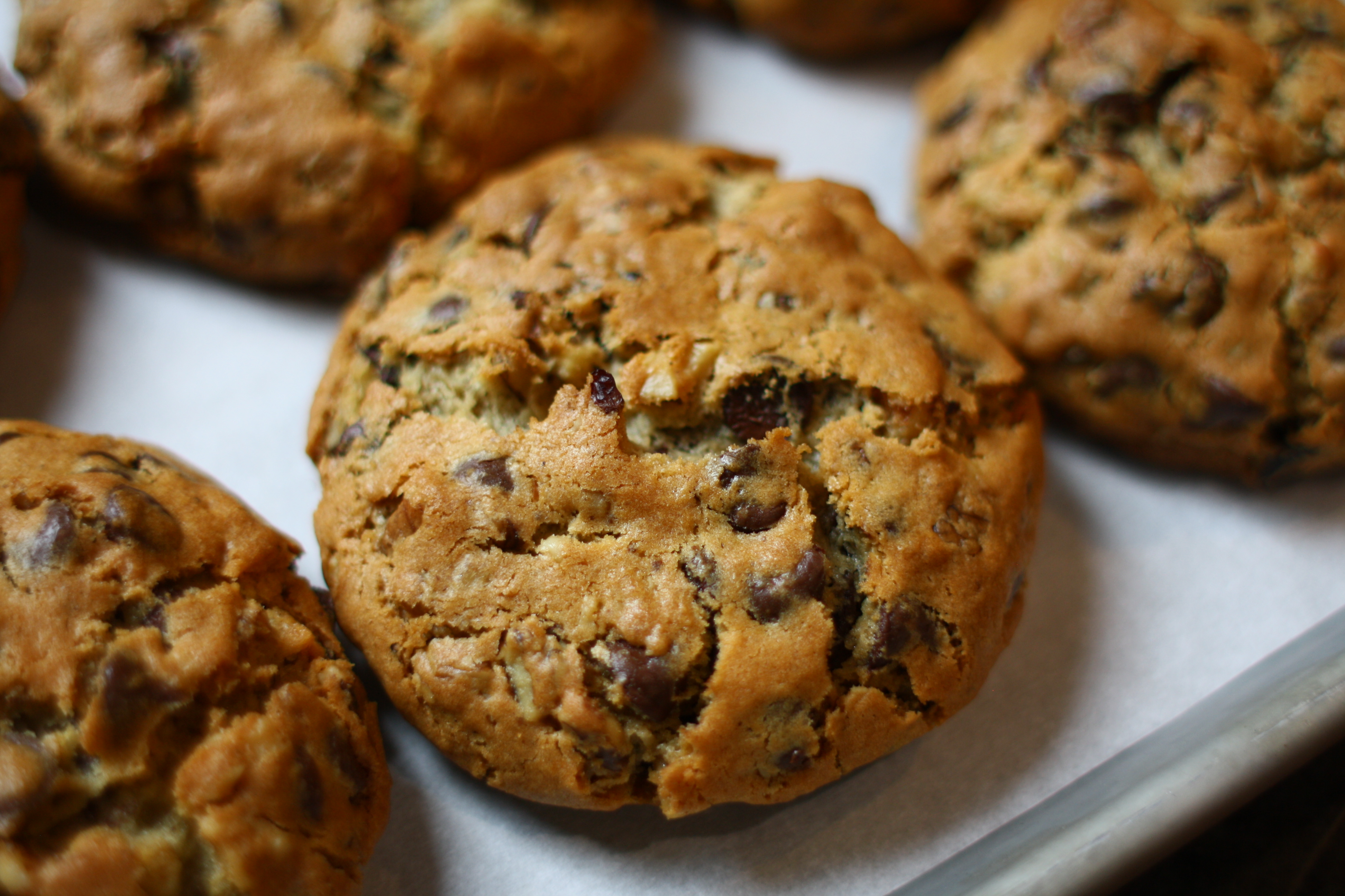 Mega Mooshie Chocolate Chip w/ Walnuts