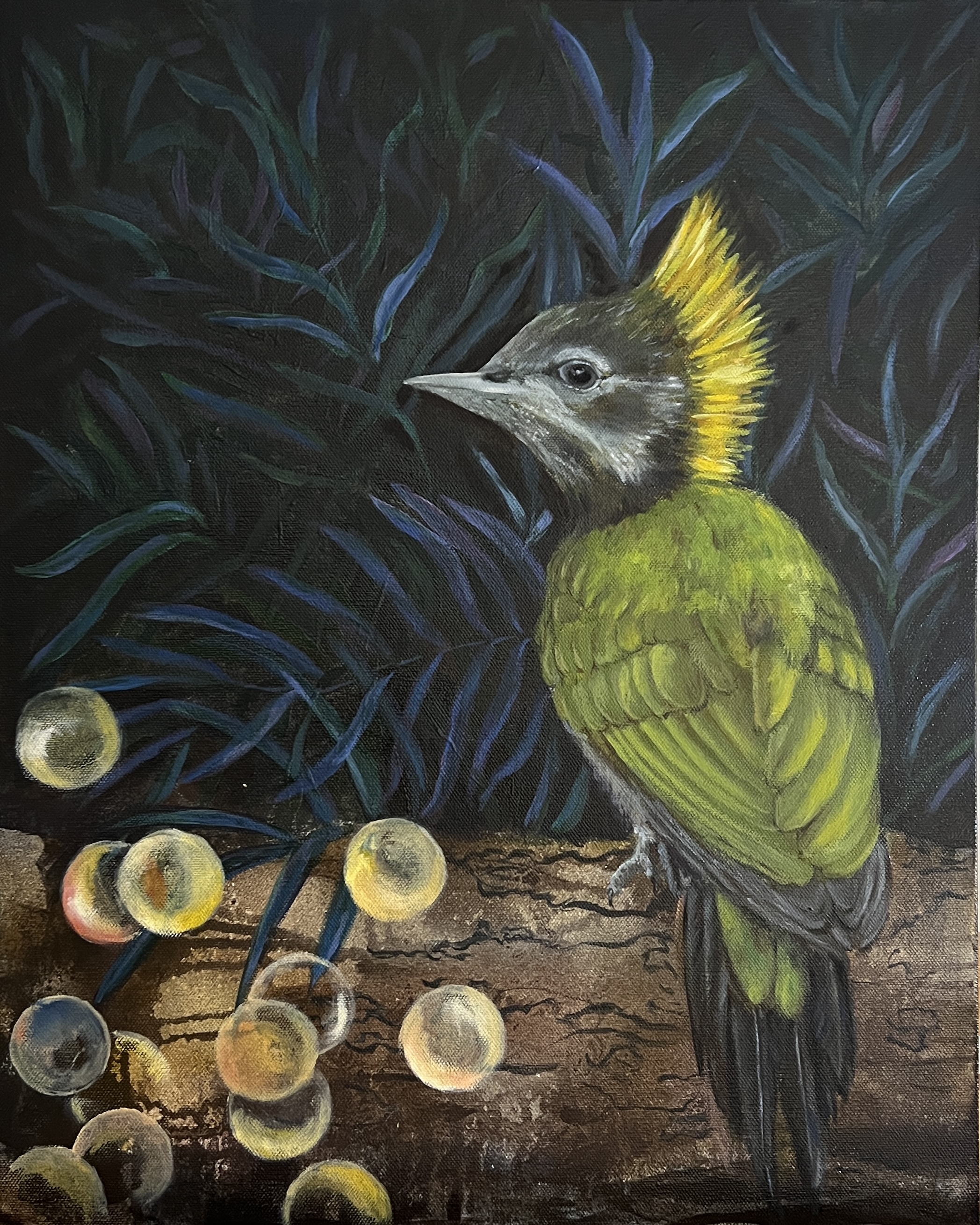 Lesser Yellownape Will Guide Your Dreams