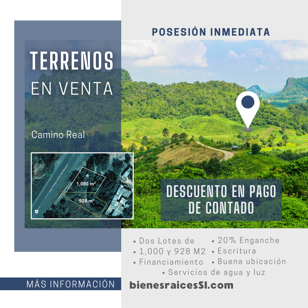 Terrenos Camino Real